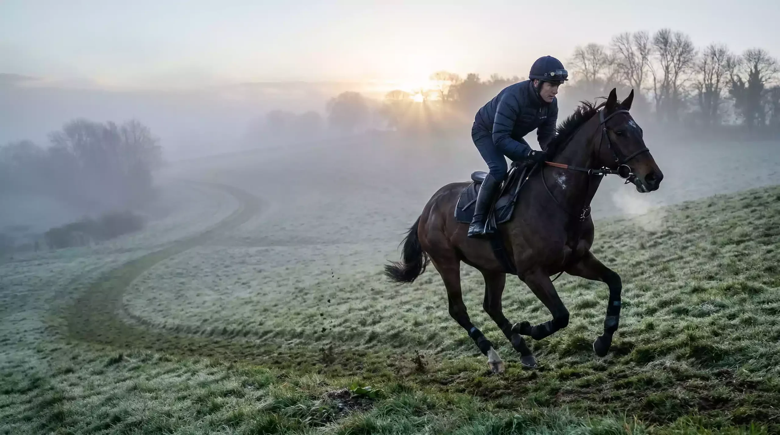 Horse in winter training galloping through morning mist on a hillside